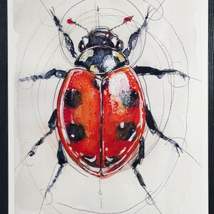 May include: Watercolor painting of a ladybug with a red shell and black spots. The ladybug is centered on a white background with delicate, intersecting lines. The artwork features a black frame.