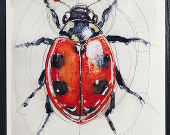 LadyBird "print"
