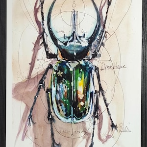 Può includere: Dipinto ad acquerello di uno scarabeo con guscio verde e blu metallizzato, zampe nere e grandi corna. L'opera d'arte include linee geometriche e testo scritto a mano. Lo sfondo è un lavaggio marrone chiaro.
