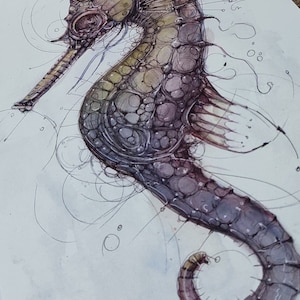 Hippocampus &quot;print&quot;
