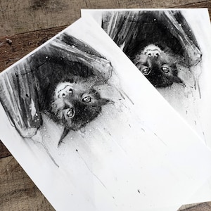 Può includere: Due disegni in bianco e nero di un pipistrello appeso a testa in giù su uno sfondo bianco. Il pipistrello è disegnato in uno stile realistico con dettagli accurati.