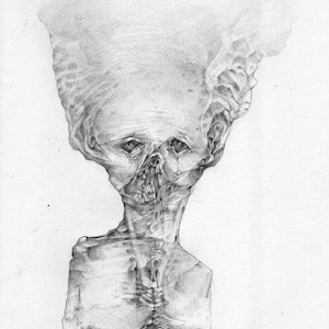 Può includere: Un disegno a matita in bianco e nero di una creatura con una testa grande e un corpo sottile. La creatura ha un aspetto scheletrico e sembra guardare lo spettatore.