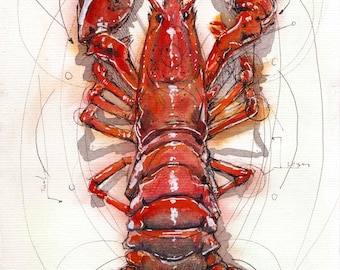 Lobster