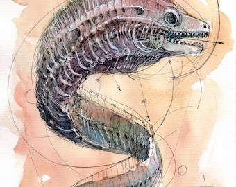 May include: Watercolor illustration of a stylized eel-like creature with a detailed skeletal structure. The artwork features a color palette of muted blues, purples, and greens, set against a soft peach background. Fine black lines overlay the creature.