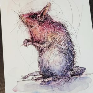 May include: A watercolor and ink drawing of a rat with a pink, purple, and blue color scheme. The rat is sitting on its hind legs with its front paws raised. The background is white with a few light blue watercolor washes.