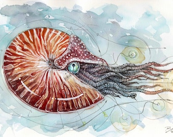Nautilus