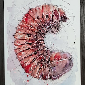 May include: Watercolor illustration of a segmented, reddish-brown insect-like creature with dark spots and a fuzzy white area. The artwork features a detailed, semi-realistic style with red paint splatters and fine line details.
