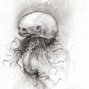 May include: A black and white pencil drawing of a creature with a large head and a long, thin body covered in hair-like tendrils.