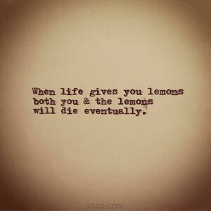 LEMONS - Framed 4&quot;x4&quot;, mailed ready for wall or shelf