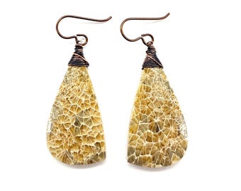 Fossilized Coral Earrings // Copper Ear Wires