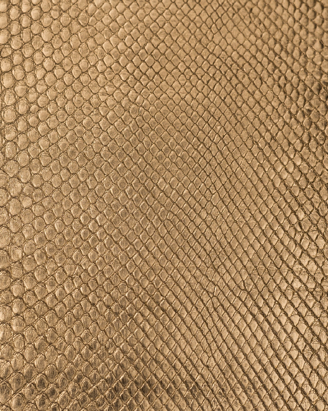 Gold Python Leather Iphone Case Gold Python Skin for 11 Pro - Etsy