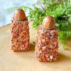 Vintage Anchor Hocking Crystal Rock Stone Salt Pepper Shakers Chip Jasper Carnelian