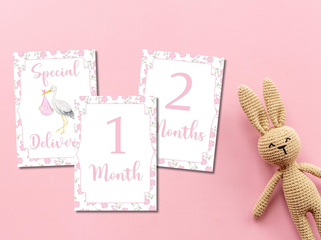 Baby Monthly Milestone Cards – 13 Printable Baby Milestones, Baby Girl ...
