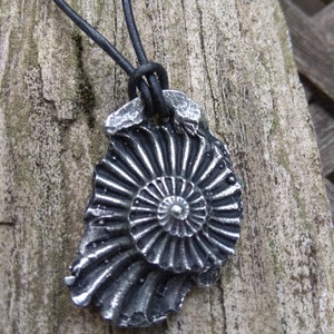 Ammonite, Fossil, Pendant