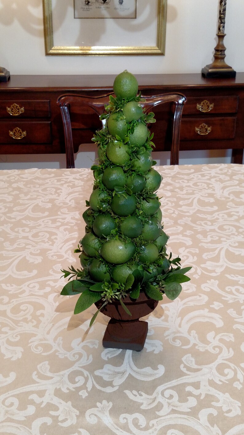 Lime Fruit Topiary Centerpiece Sugared Fruit or Plain | Etsy