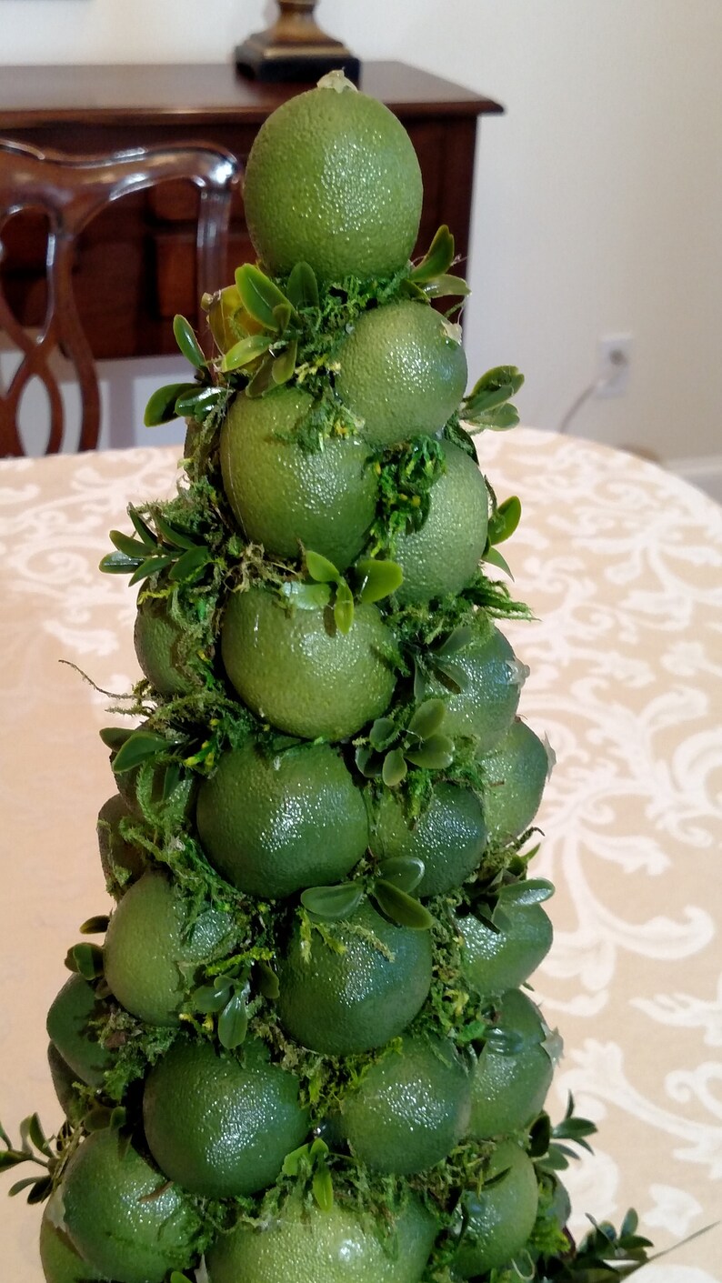 Lime Fruit Topiary Centerpiece Sugared Fruit or Plain | Etsy