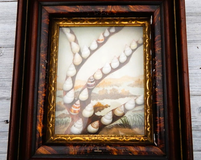 Victorian Era Shell Art Shadowbox