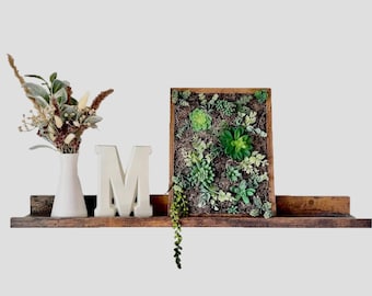 Artificial Succulent Wall Decor, Artificial Plants for Home Decor, Assorted Faux Succulents Artificial,Succulent Arrangement, Christmas Gift