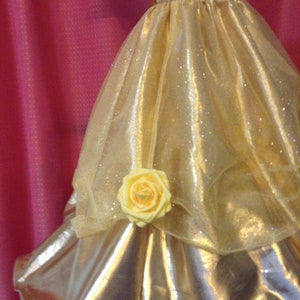 THIS BEAUTIFUL BELL Costume is Everything You Would Want a Princess to ...