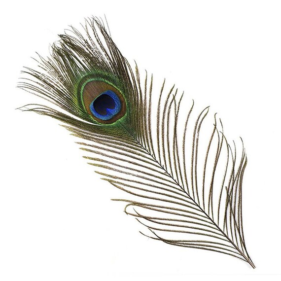25-30CM//10-12inches Hen Pheasant Tail Feathers For Crafts DIY Wedding Decora