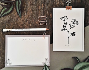 Notelet | Botanical | Wildflower | Cow Parsley| botanical notelet | stationery | Floral | Botanical illustration | notecard | postcard