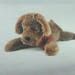 30" Shaggy Dog Ready-to-Sew Kit