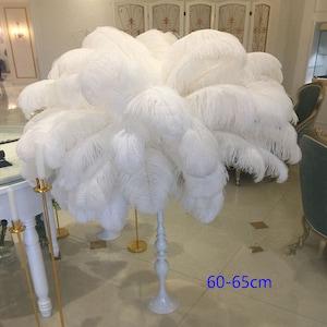 Trasporto libero Belle piume di struzzo bianche 50 PCS 6-32 pollici / 15-80CM Decorazione di cerimonia nuziale DIY