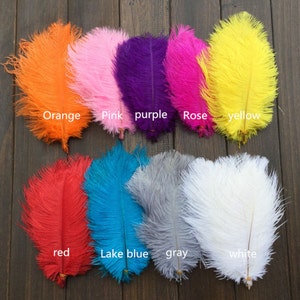 May include: Ten ostrich feathers in various colors, including orange, pink, purple, rose, yellow, red, lake blue, gray, and white. The feathers are arranged in two rows on a wooden surface.
