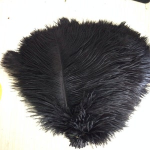 Discount item 100pcs ostrich feather for wedding table centerpiece,feather centerpiece,black ostrich feathers,wedding table decoration AAA