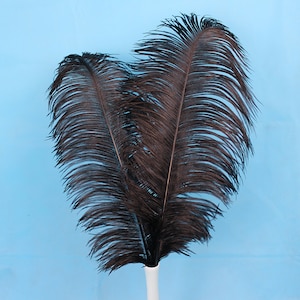 AAA 100PCS Black Ostrich feathers DIY wedding decorations party DIY party 6-32 inches Select image 4