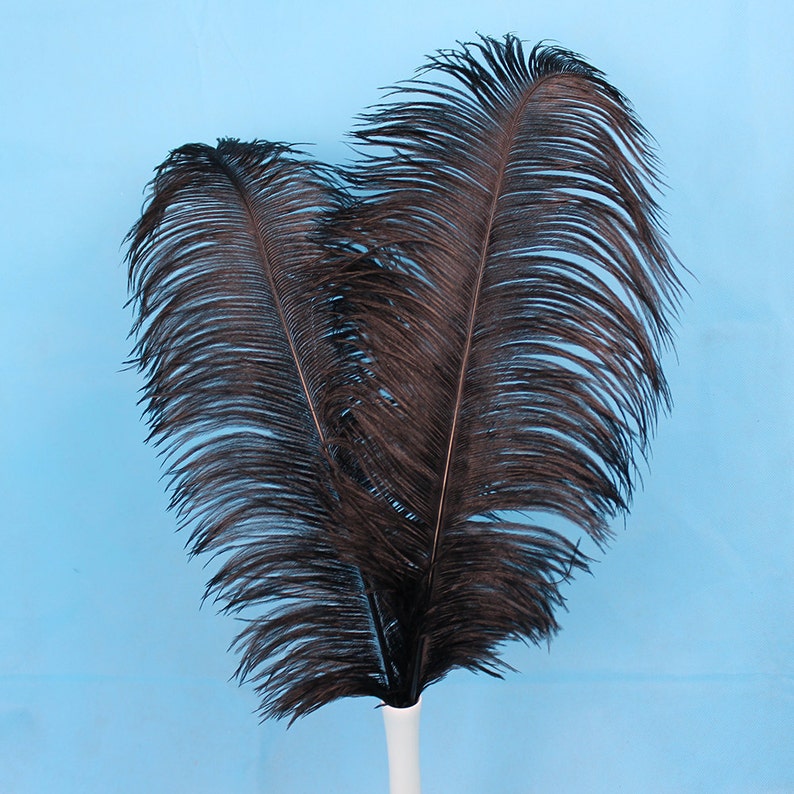 AAA 100PCS Black Ostrich feathers DIY wedding decorations party DIY party 6-32 inches Select image 4