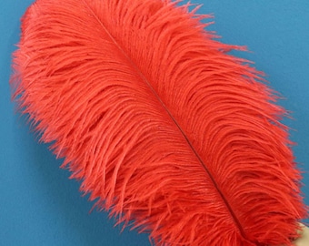 Article de réduction 50pcs plume d’autruche pour centre de table de mariage, centre de table en plumes, plumes d’autruche rouge, décoration de table de mariage AAA