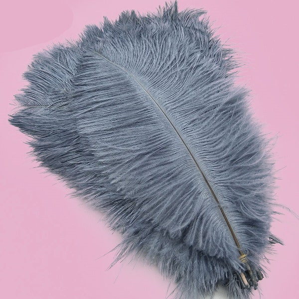 Grey Ostrich Feather Etsy