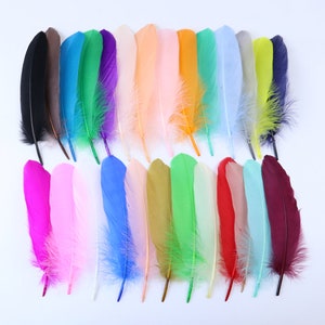 Piume d'oca naturali tinte varie piume per artigianato gioielli da sposa accessori per feste 15-20 cm / 6-8 pollici artigianato fatto a mano fai da te