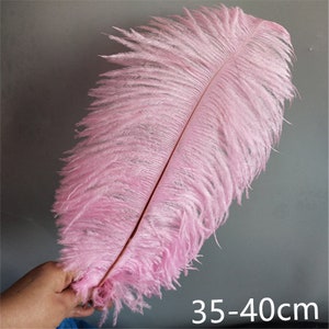 Hot Sale 50-200 PCS / Lot Pink Ostrich Feathers 10-12 Inches - Etsy