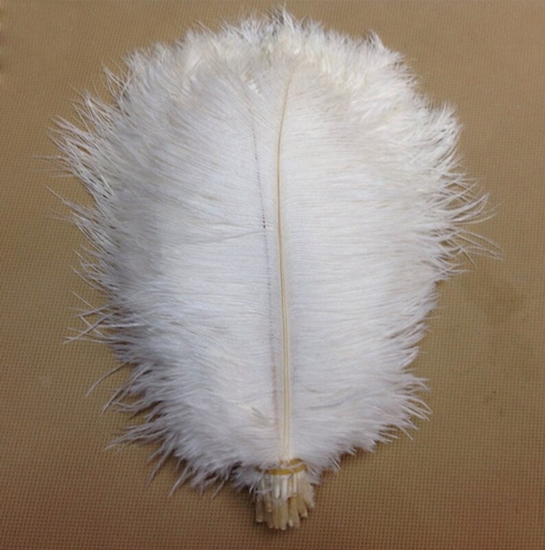 Wholesale Ostrich Feather 4550CM 100PCS 12 Color Optional Etsy