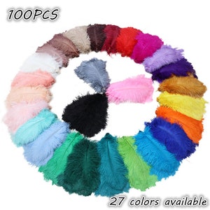 100PCS AAA Quality 6-32 inch Ostrich Feather Wedding Party Wall DIY Vase Prom Charity Party Dress Feathers Unique decoration 27 colors