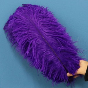 May include: A large, vibrant purple ostrich feather. The feather is held against a light blue background. The feather's central quill is visible, and the barbs are soft and fluffy.