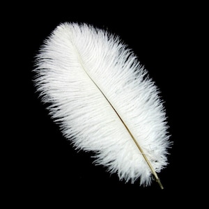 Hot! Sale 50-100PCS / lot White Ostrich Feathers 10-12 inches / 25-30cm DIY Wedding Decorations Interior