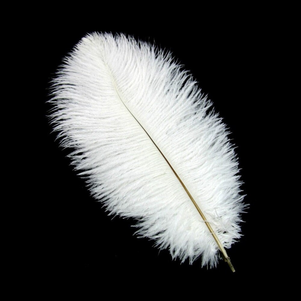 100 White Ostrich Feathers for Wedding Centerpieces 