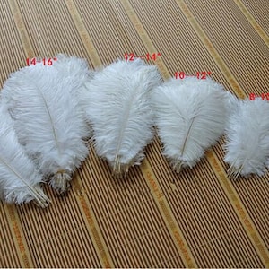 50PCS AAA Quality 6-32 inch Ostrich Feather Wedding Party Wall DIY Vase Prom Charity Party Dress Feathers Unique decoration 27 colors image 7