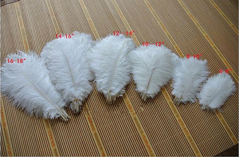 50PCS AAA Quality 6-32 inch Ostrich Feather Wedding Party Wall DIY Vase Prom Charity Party Dress Feathers Unique decoration 27 colors image 7