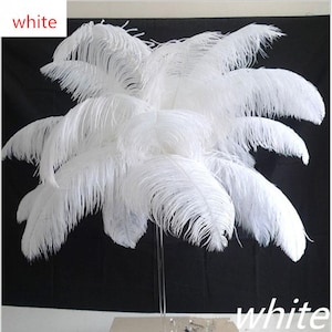 May include: A bunch of white ostrich feathers, arranged in a fan shape, with the word "white" written in red at the top of the image.