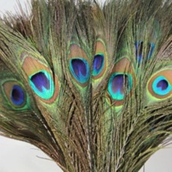 HOT SALE !!! Wholesale 100pcs 24-80 cmAAAAA Peacock Feathers Natural Eye by DIY Decoration Clothing