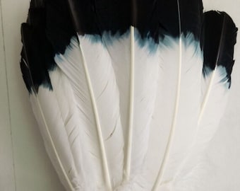 New! 20-100pcs / lot! 25-30 cm 10-12 inches long, black Dyed Turkey Feather Quill Wing Tip Imitation Eagle Feathers for  Costume