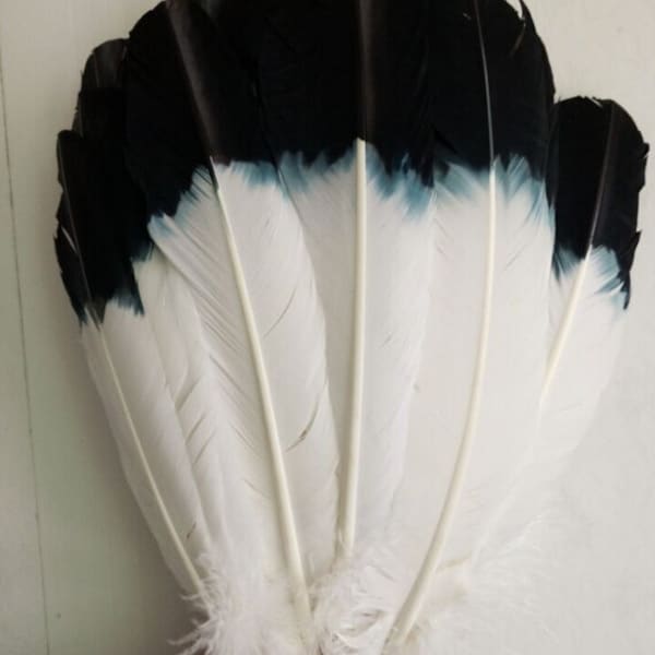 Nouveau! 20-100pcs / lot! 25-30 cm 10-12 pouces de long, noir Teint Dindon Plume Plume Plume Imitation Plumes d’Aigle pour Costume