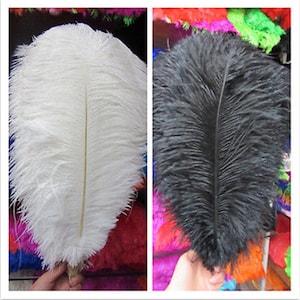 May include: Two ostrich feathers, one white and one black, are shown against a background of colorful feathers. The feathers are long and fluffy, with a central shaft.