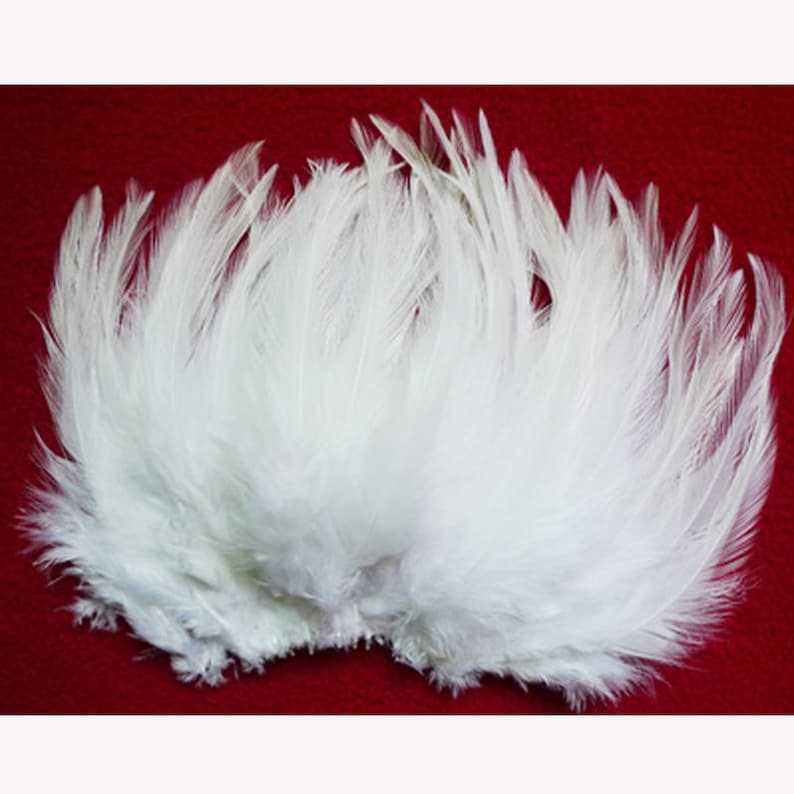 Natural beautiful 100-1000 PCS/ a lot of beautiful white neck pheasant feathers 10-15 cm / 4-6 inches image 4