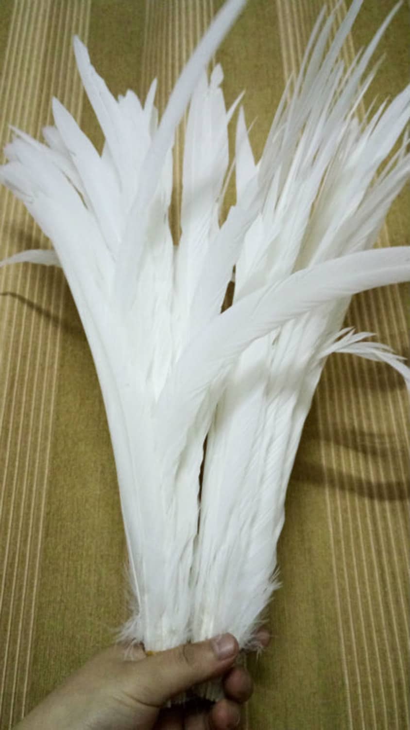 Natural Rooster Feather - Brown Feather - (12-15 cm) - Real Feathers for  Jewelry, Costume, Millinery, Decoration, Crafts - 50Pieces - FF1004