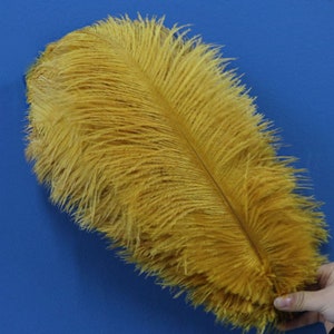 May include: A single, long, golden yellow ostrich feather. The feather is soft and fluffy, with a long, thin shaft.
